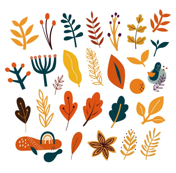 Vector Collection Autumn Leaves Foliage Branches — Stock Vector