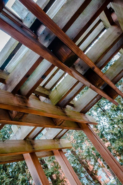 Tiro Artsy Gazebo Madeira Atrás Dormitório Campus Iup — Fotografia de Stock