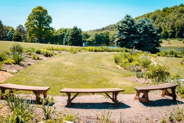Bir çiçek bahçesi bir parkta üzerinde seyir banklar