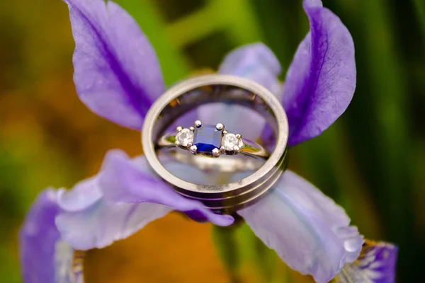 Bride Groom Rings Set Purple Flower — Stock Photo, Image