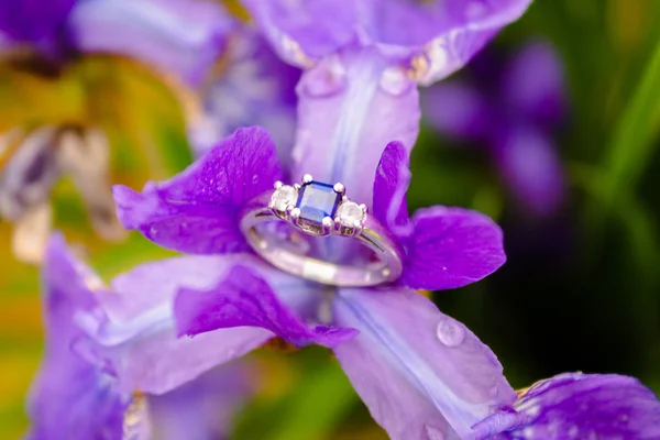 Engagement Ring Perched Flower Rain — Stock Photo, Image