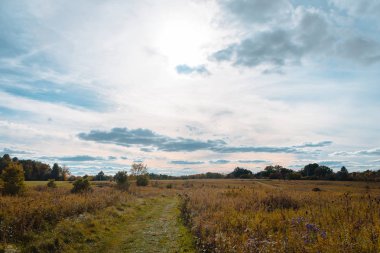 Doğa Ohio'da düşüş sırasında bir parkı ile yürümek