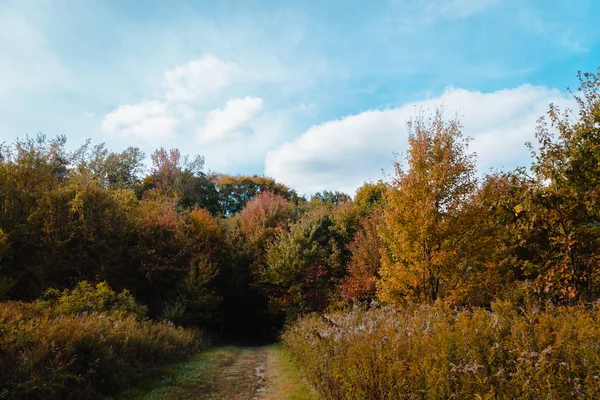 Ahşap tünel için iz
