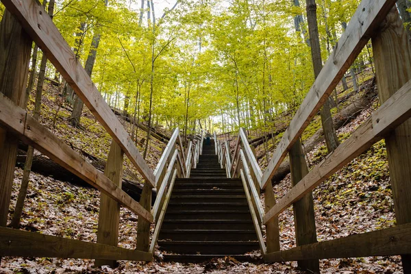 Park Trail Leads Sand Dune Michigan — Stock Photo, Image