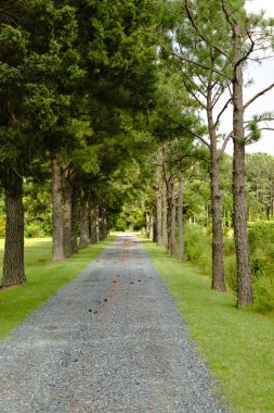 Kırsal Virginia Cottage için yol önde gelen iz