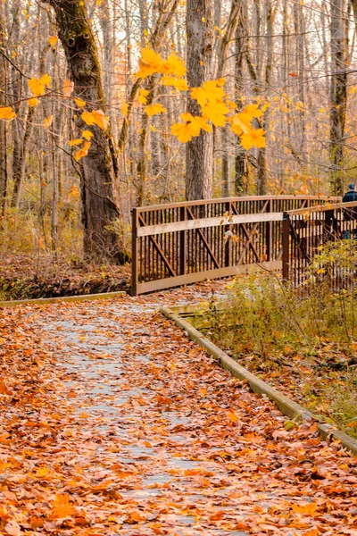 Walking along a trail to a bridge on an autumn hike
