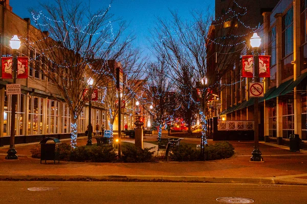 Downtown Kalamazoo Michigan Uma Noite Inverno — Fotografia de Stock