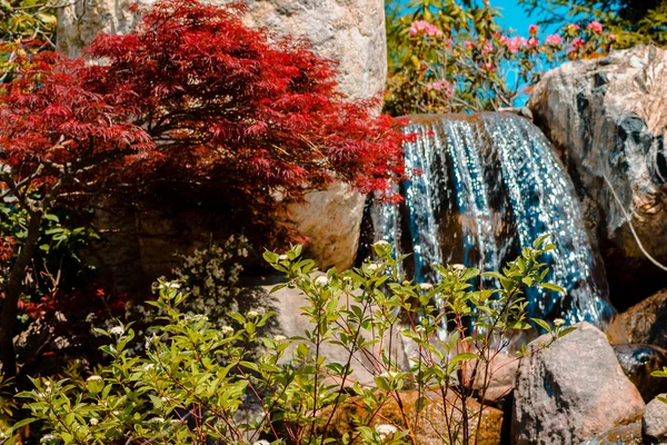 월에서 화창한 정원을 스트림에서 흐르는 — 스톡 사진