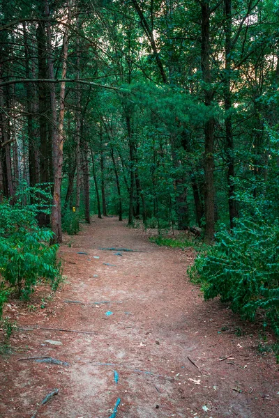 Sendero Arena Través Del Bosque Grand Rapids Michigan — Foto de Stock