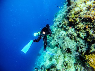 Temiz denize dalmaktan hoşlanan kadınlar.