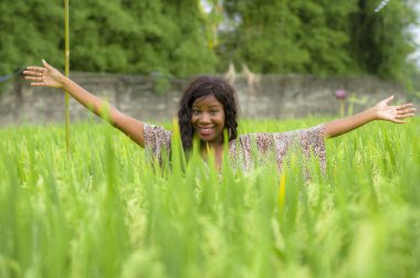 Genç güzel ve serin tropikal pirinç zevk egzotik tatil gezisi Asya, eğleniyor içinde mutlu siyah Afrikalı-Amerikalı kadın geleneksel köy keşfetmek açık havada taze portresi