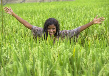 Açık havada taze portre genç güzel ve mutlu siyah afro Amerikan içinde kadın egzotik zevk tropikal pirinç alan eğleniyor serin ve geleneksel köy keşfetmek Asya tatiller