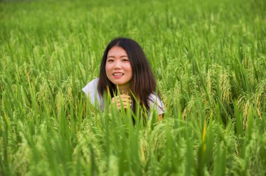 Açık havada taze genç güzel portresi ve having fun ücretsiz Asya'nın tropikal pirinç alan zevk egzotik tatil gezisi, duygu mutlu Asyalı Çinli turist kadın geleneksel köy keşfetmek