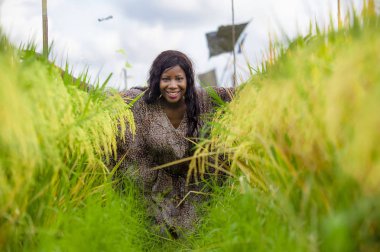 Açık havada taze portre genç güzel ve mutlu siyah afro Amerikan içinde kadın egzotik zevk tropikal pirinç alan eğleniyor serin ve geleneksel köy keşfetmek Asya tatiller