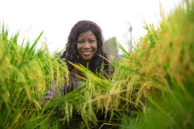 Açık havada taze portre genç güzel ve mutlu siyah afro Amerikan içinde kadın egzotik zevk tropikal pirinç alan eğleniyor serin ve geleneksel köy keşfetmek Asya tatiller