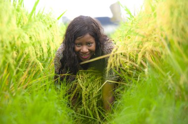 Açık havada taze portre genç güzel ve mutlu siyah afro Amerikan içinde kadın egzotik zevk tropikal pirinç alan eğleniyor serin ve geleneksel köy keşfetmek Asya tatiller