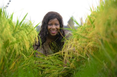 Genç güzel ve serin tropikal pirinç zevk egzotik tatil gezisi Asya, eğleniyor içinde mutlu siyah Afrikalı-Amerikalı kadın geleneksel köy keşfetmek açık havada taze portresi