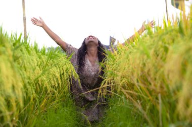 Açık havada taze portre genç güzel ve mutlu siyah afro Amerikan içinde kadın egzotik zevk tropikal pirinç alan eğleniyor serin ve geleneksel köy keşfetmek Asya tatiller