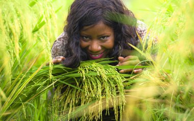 Genç güzel ve serin tropikal pirinç zevk egzotik tatil gezisi Asya, eğleniyor içinde mutlu siyah Afrikalı-Amerikalı kadın geleneksel köy keşfetmek açık havada taze portresi