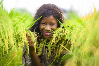 Genç güzel ve serin tropikal pirinç zevk egzotik tatil gezisi Asya, eğleniyor içinde mutlu siyah Afrikalı-Amerikalı kadın geleneksel köy keşfetmek açık havada taze portresi