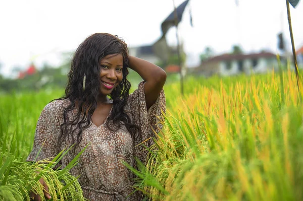 Fiatal Szép Boldog Fekete Afrikai Amerikai Érzik Magukat Élvező Egzotikus — Stock Fotó