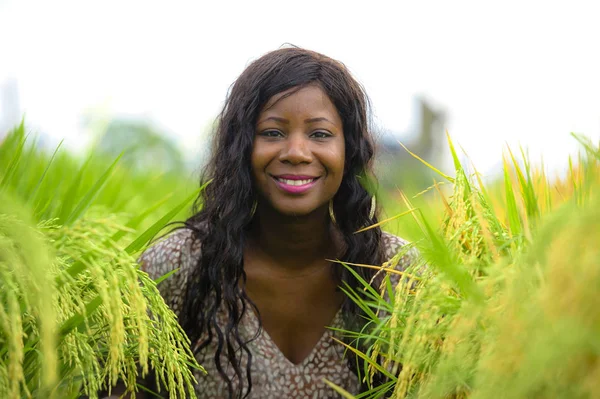 Açık havada taze portre genç güzel ve mutlu siyah afro Amerikan içinde kadın egzotik zevk tropikal pirinç alan eğleniyor serin ve geleneksel köy keşfetmek Asya tatiller