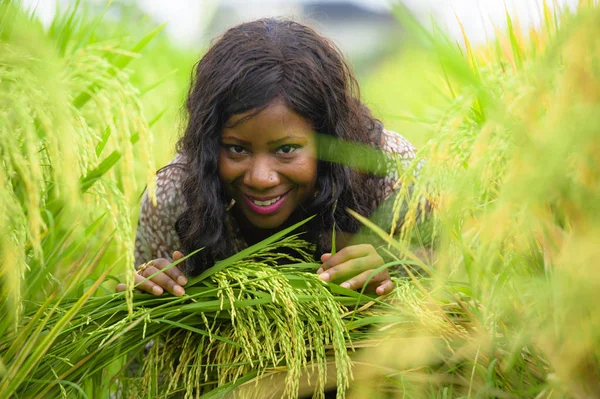 Açık havada taze portre genç güzel ve mutlu siyah afro Amerikan içinde kadın egzotik zevk tropikal pirinç alan eğleniyor serin ve geleneksel köy keşfetmek Asya tatiller