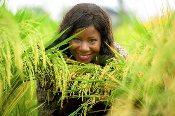 Açık havada taze portre genç güzel ve mutlu siyah afro Amerikan içinde kadın egzotik zevk tropikal pirinç alan eğleniyor serin ve geleneksel köy keşfetmek Asya tatiller