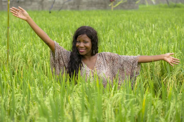 Açık havada taze portre genç güzel ve mutlu siyah afro Amerikan içinde kadın egzotik zevk tropikal pirinç alan eğleniyor serin ve geleneksel köy keşfetmek Asya tatiller
