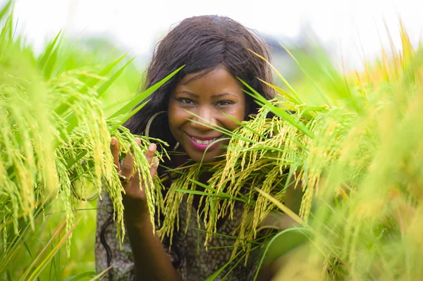 Genç güzel ve serin tropikal pirinç zevk egzotik tatil gezisi Asya, eğleniyor içinde mutlu siyah Afrikalı-Amerikalı kadın geleneksel köy keşfetmek açık havada taze portresi