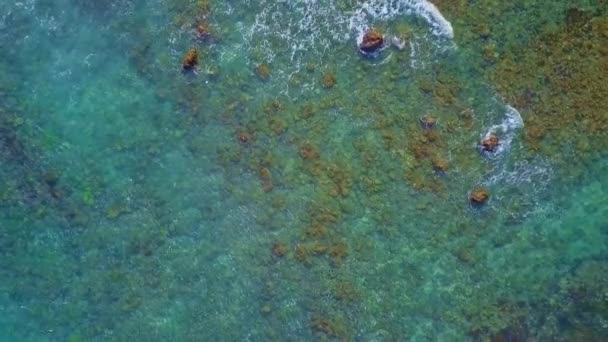 Tiro Aéreo Com Drone Voando Sobre Incrível Turquose Água Mar — Vídeo de Stock