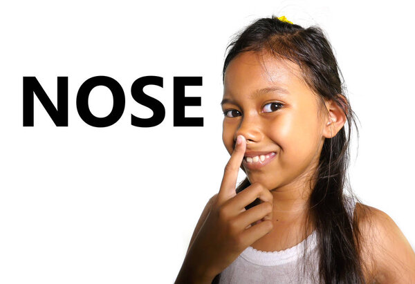 English learning body and face parts school card with beautiful and happy  Asian child pointing her nose smiling cheerful making fun isolated on white background 