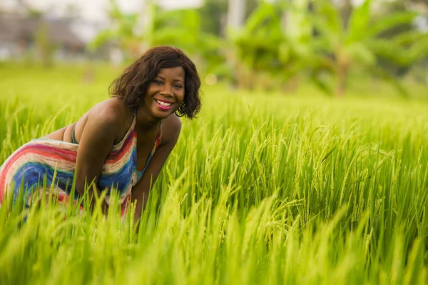 Potret gaya hidup wanita muda Afrika Amerika muda yang menarik dan bahagia yang berpura-pura ceria bersenang-senang di luar ruangan dengan latar belakang sawah yang indah menikmati liburan — Stok Foto