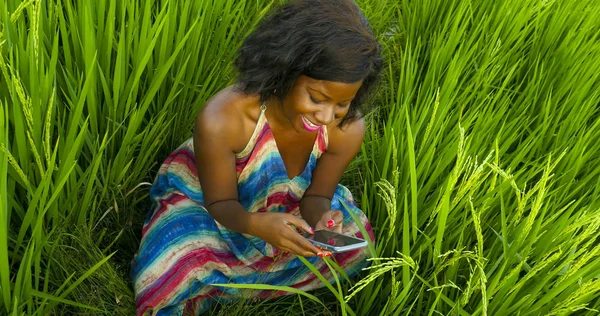 Fiatal szép és boldog nő segítségével a mobiltelefon-hálózat, és mosolygós vidám kint a trópusi rice field internet blogger vagy digitális nomád és az online üzleti — Stock Fotó
