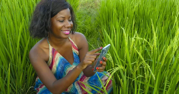 Joven hermosa y feliz mujer utilizando la red de telefonía móvil y sonriendo alegre al aire libre en el campo de arroz tropical en el bloguero de Internet o nómada digital y negocios en línea — Foto de Stock