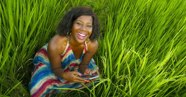Fiatal szép és boldog nő segítségével a mobiltelefon-hálózat, és mosolygós vidám kint a trópusi rice field internet blogger vagy digitális nomád és az online üzleti — Stock Fotó