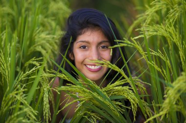 Genç, mutlu ve güzel Latin kadın neşeli gülüyor. Asya 'da yeşil pirinç tarlasında izole edilmiş tatlı poz veriyor. Turist gezisi, yaz tatili ve turizm.