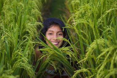 Genç, mutlu ve güzel İspanyol kadın neşeli gülüyor. Asya 'da yeşil pirinç tarlasında izole edilmiş tatlı poz veriyor. Turist gezisi, yaz tatili ve turizm.