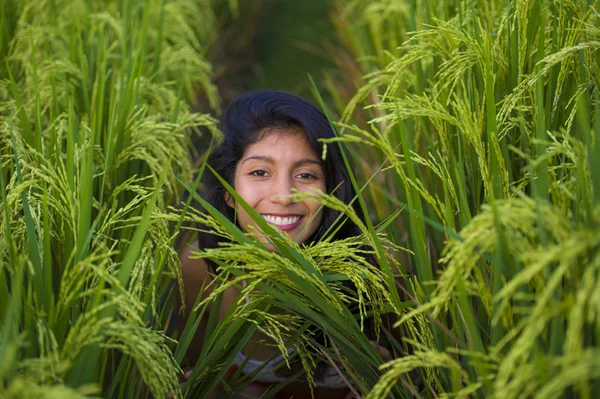 Genç, mutlu ve güzel İspanyol kadın neşeli gülüyor. Asya 'da yeşil pirinç tarlasında izole edilmiş tatlı poz veriyor. Turist gezisi, yaz tatili ve turizm.