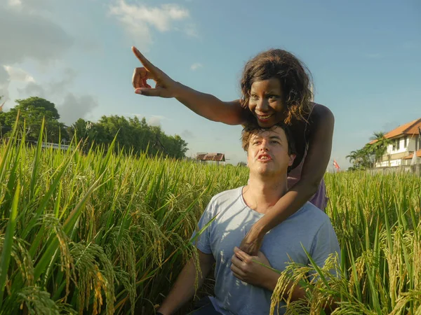 Genç, mutlu, güzel, melez bir çift. Siyah Afro-Amerikan kadın ve çekici beyaz bir erkek pirinç tarlasında sarılıp eğleniyorlar. — Stok fotoğraf