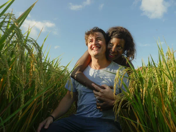 Молодая счастливая и красивая смешанная этническая пара с черной афроамериканкой и привлекательным кавказским мужчиной обнимается и веселится наслаждаясь праздниками на рисовом поле — стоковое фото