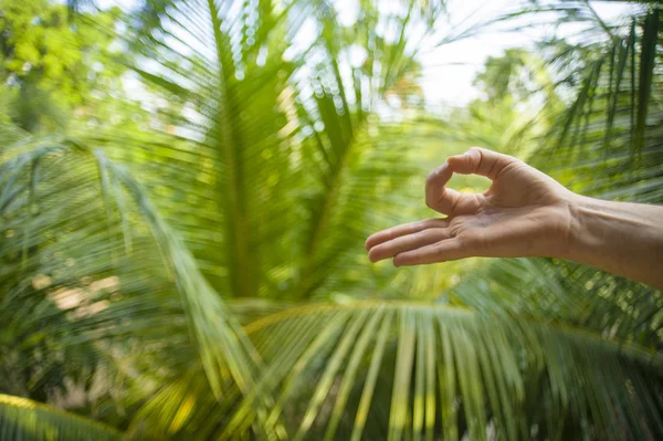 Естественный закрыть руку женщины, занимающейся йогой в mudra gyan пальцы позиции изолированы на красивом тропическом фоне природы в медитации расслабления и психического равновесия — стоковое фото