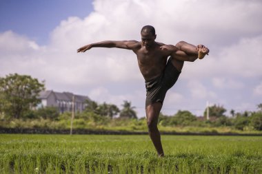 genç çekici çağdaş bale dansçısı ve koreograf, siyah bir afro Amerikan adam dans ve tropikal pirinç alan arka plan üzerinde poz