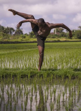 genç çekici çağdaş bale dansçısı ve koreograf, siyah bir afro Amerikan adam dans ve tropikal pirinç alan arka plan üzerinde poz