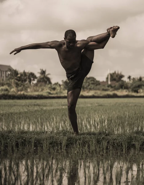 Joven y atractiva bailarina de ballet y coreógrafa contemporánea, un afroamericano negro bailando y posando sobre el fondo del campo de arroz tropical — Foto de Stock