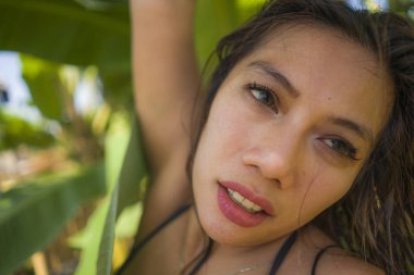bikini genç güzel ve mutlu Asyalı Endonezyalı kadın Yaz tatilinde egzotik tropikal arka plan üzerinde doğal izole gülümseyen muz ağacının yaprakları arasında poz