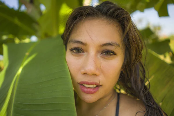Bikini genç güzel ve mutlu Asyalı Endonezyalı kadın Yaz tatilinde egzotik tropikal arka plan üzerinde doğal izole gülümseyen muz ağacının yaprakları arasında poz — Stok fotoğraf