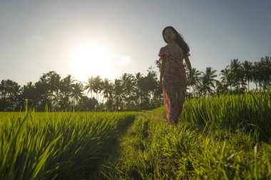 tropikal günbatımı mutluluk. Doğada egzotik Yaz tatili gezisi zevk yeşil pirinç alanında yürüyüş zarif elbise genç güzel ve çekici Asyalı Koreli kadın