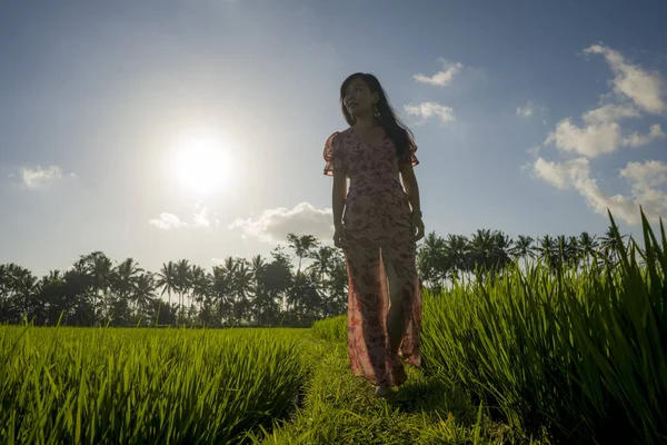 Tropické blaženosti západu slunce. Mladá krásná a přitažlivá Asijská Čínská žena v elegantních šatech na zelené rýžové poli a užívající exotickou letní dovolenou v přírodě — Stock fotografie
