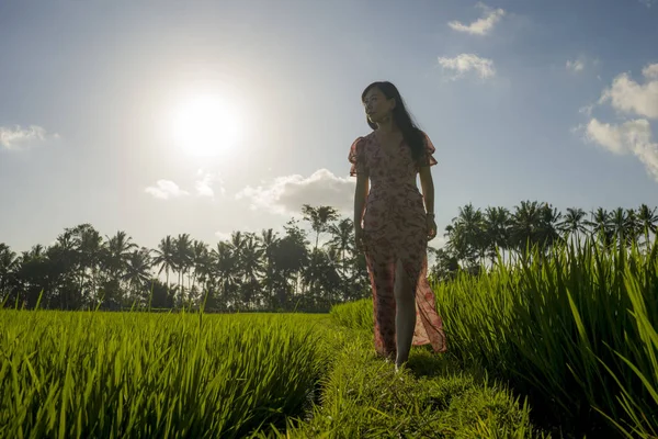 Tropické blaženosti západu slunce. Mladá krásná a přitažlivá Asijská Korejská žena v elegantních šatech na zelené rýžové poli, které si vychutnávají exotickou letní dovolenou v přírodě — Stock fotografie